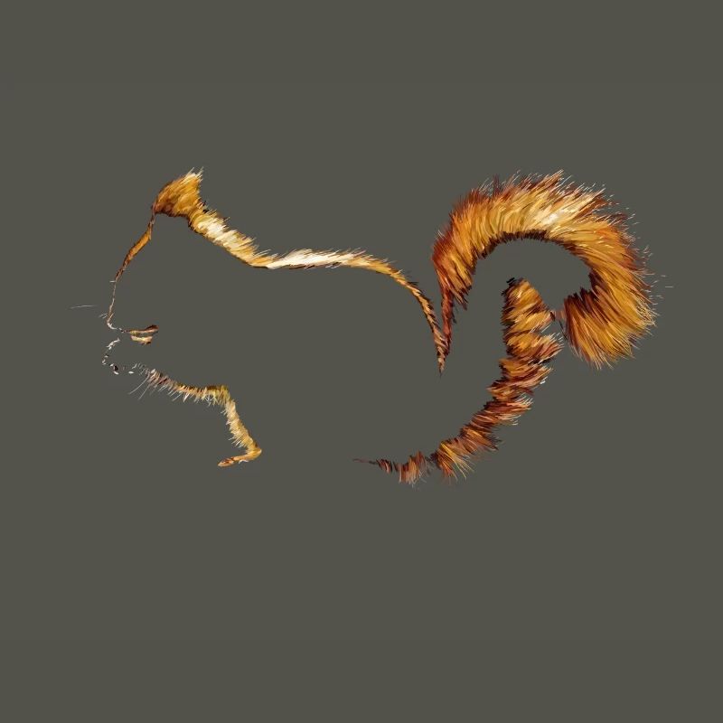 Eichhörnchen