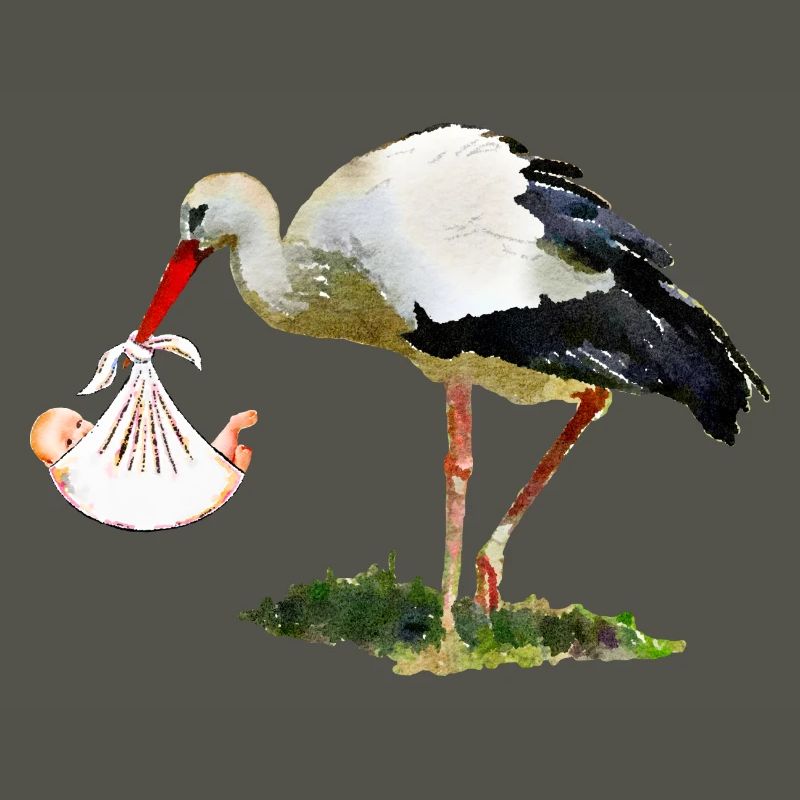 Cigogne avec bébé dans une écharpe