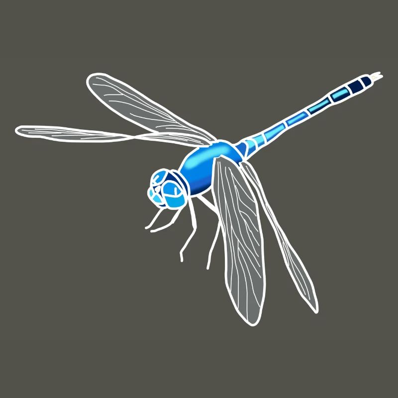 Libellule