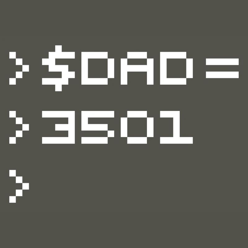 DAD Terminal de Pixels Nerd Code 8-Bits Rétro