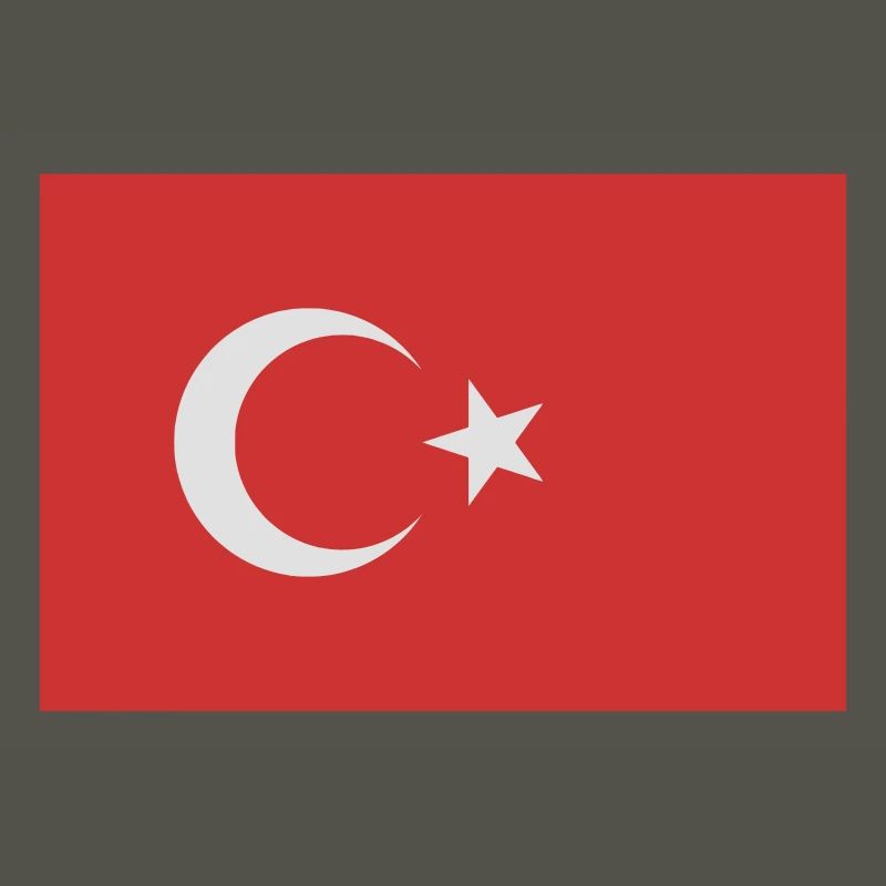 Turkey (vector)