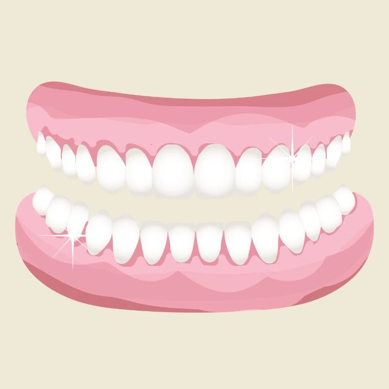 bright teeth with sparkling clean teeth