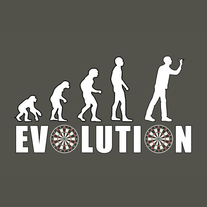 EVOLUTION DARTS Jeu Flèche Jeu de fléchettes Cadeau