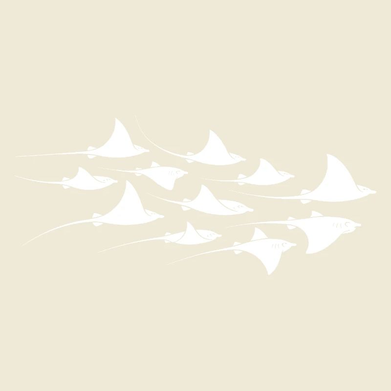 Manta Ray, Devil Ray, Stingray, Diver