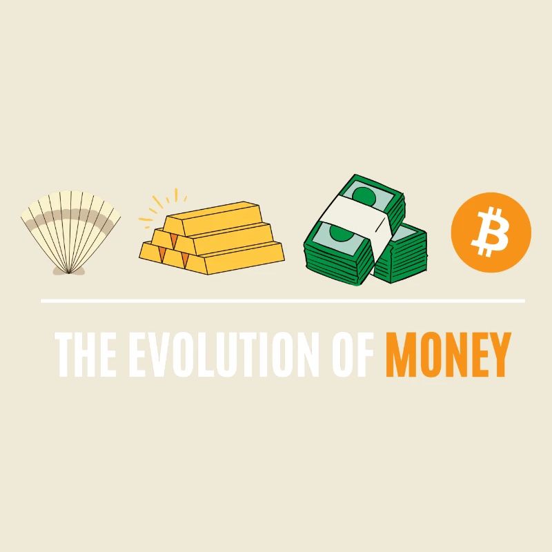 Die Evolution des Geldes