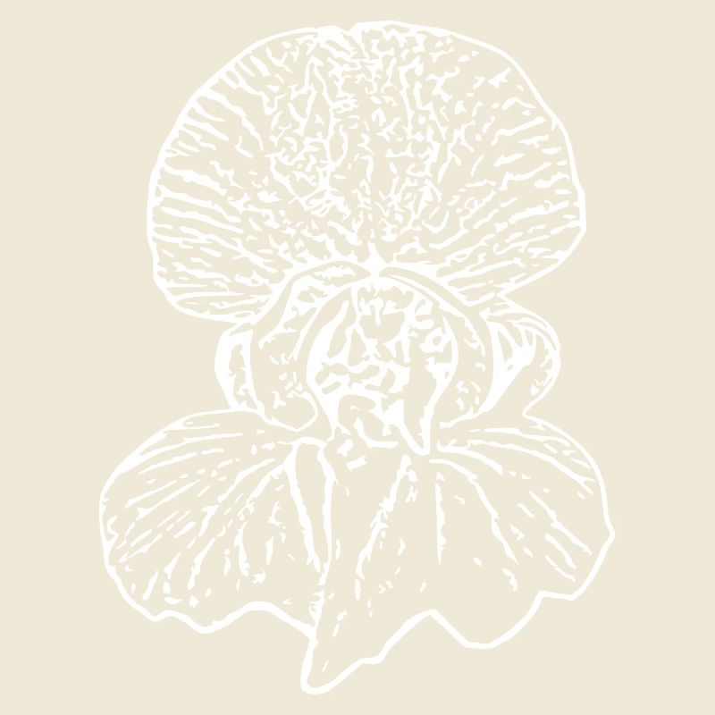 Muttertags Geschenk Mutter Muttertag Geschenkidee 