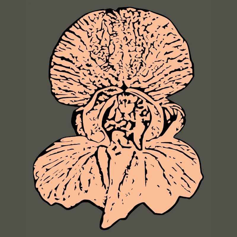 Muttertags Geschenk Mutter Muttertag Geschenkidee 