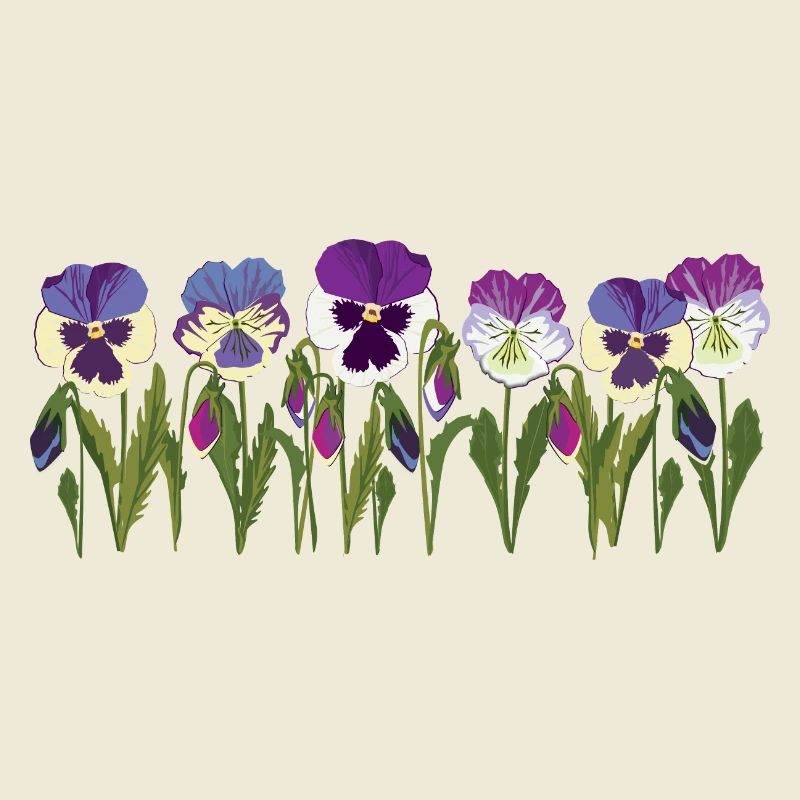 Rangée de fleurs de pensée en violet