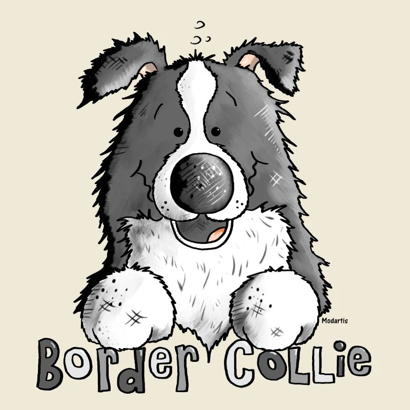 Petit Boder Collie - Chien de Berger