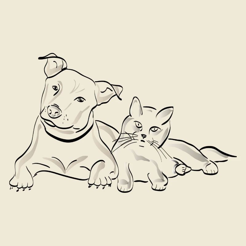 Chat chien