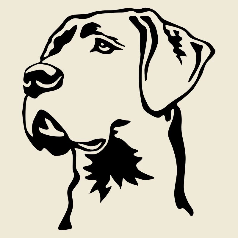 Great Dane head