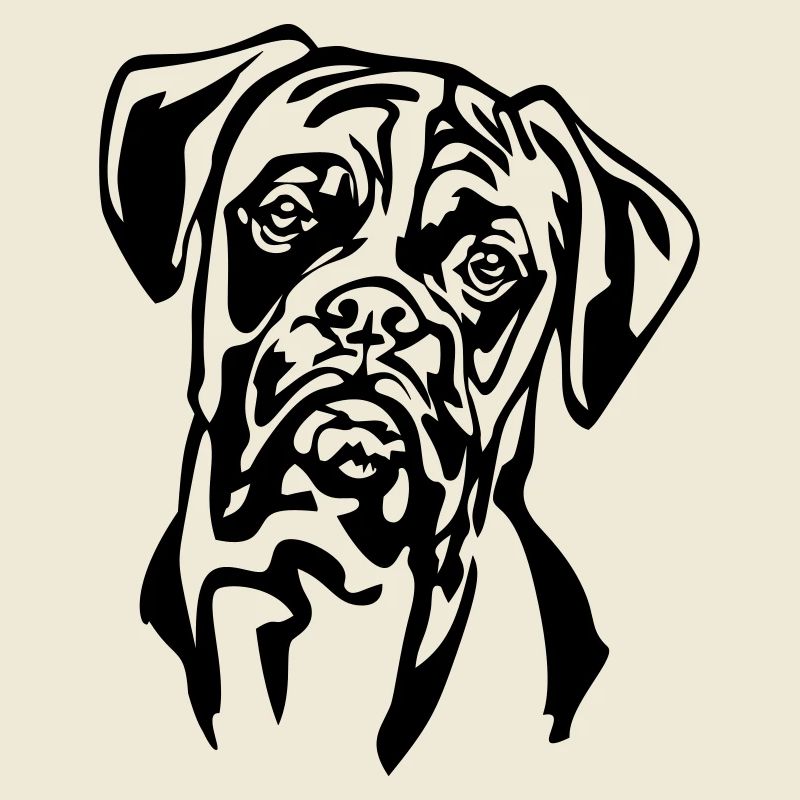Boxer head
