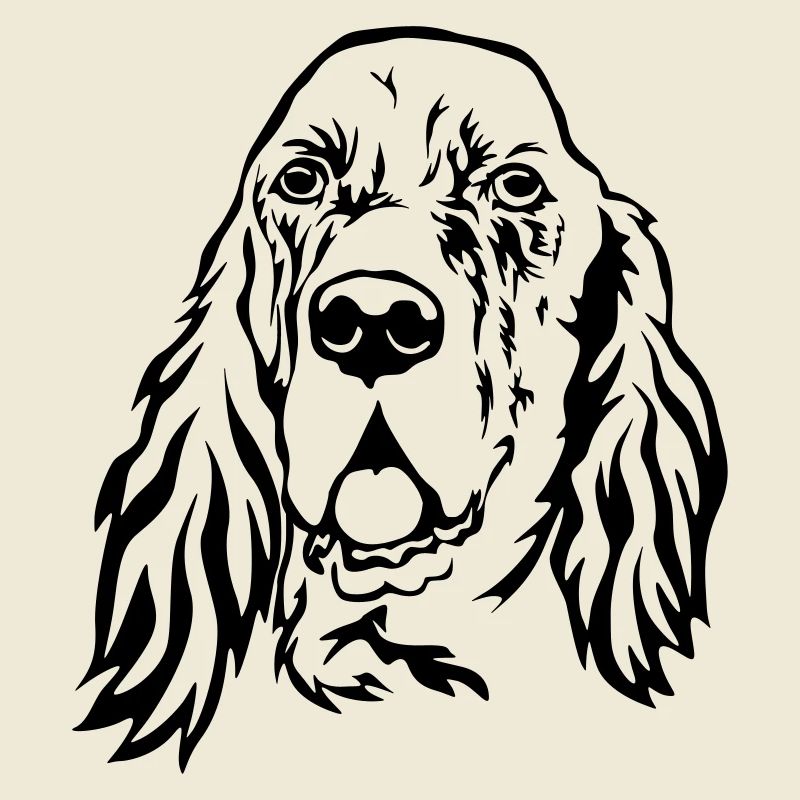 Englischer Setter Kopf