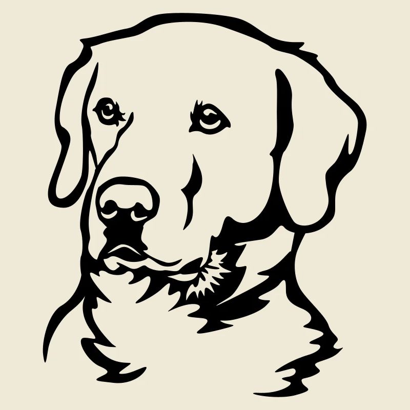 Labrador Head