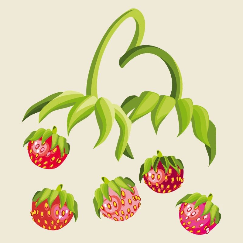 Strawberry Time Strawberry