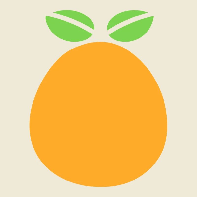 Orange Fruit Graphic Design with Mango