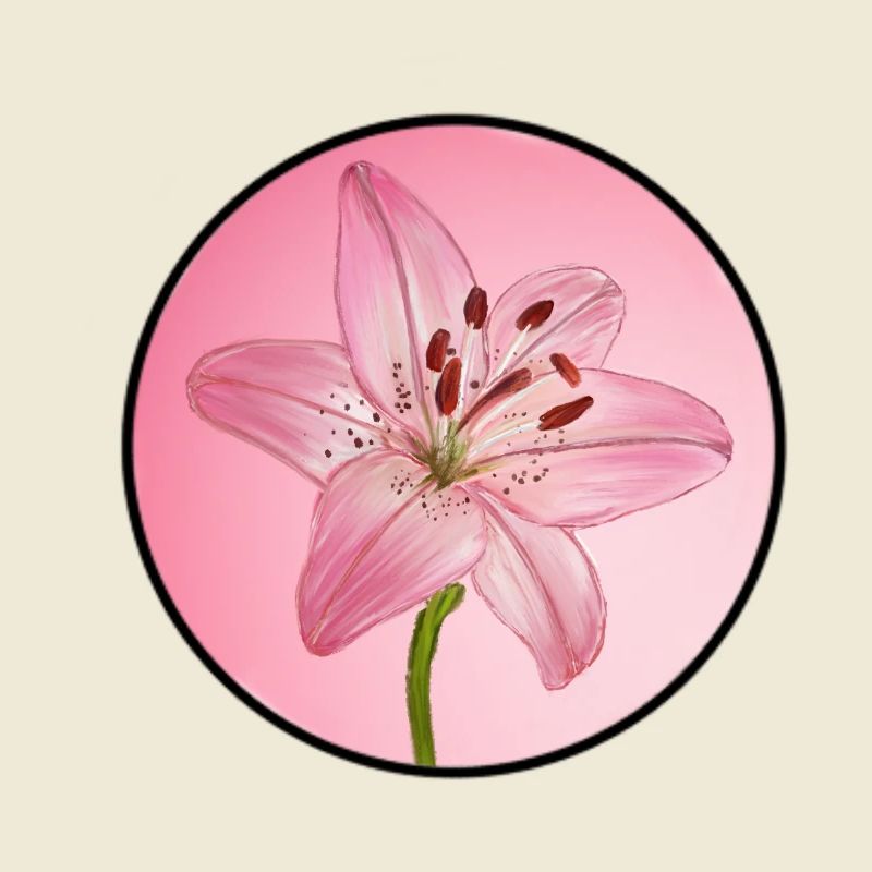 LilyDream