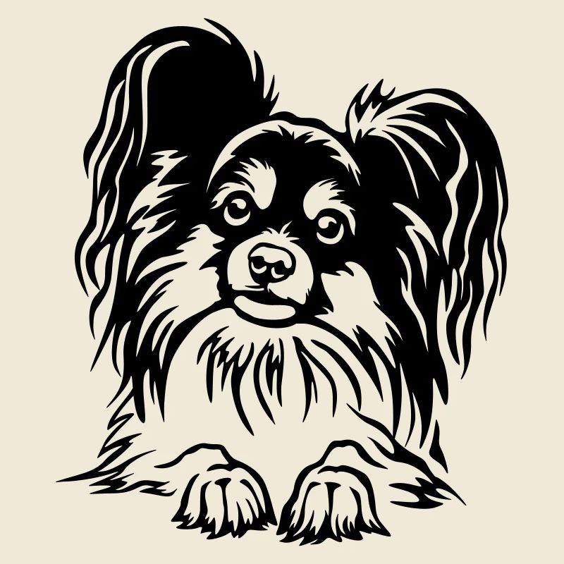 Papillon Kopf