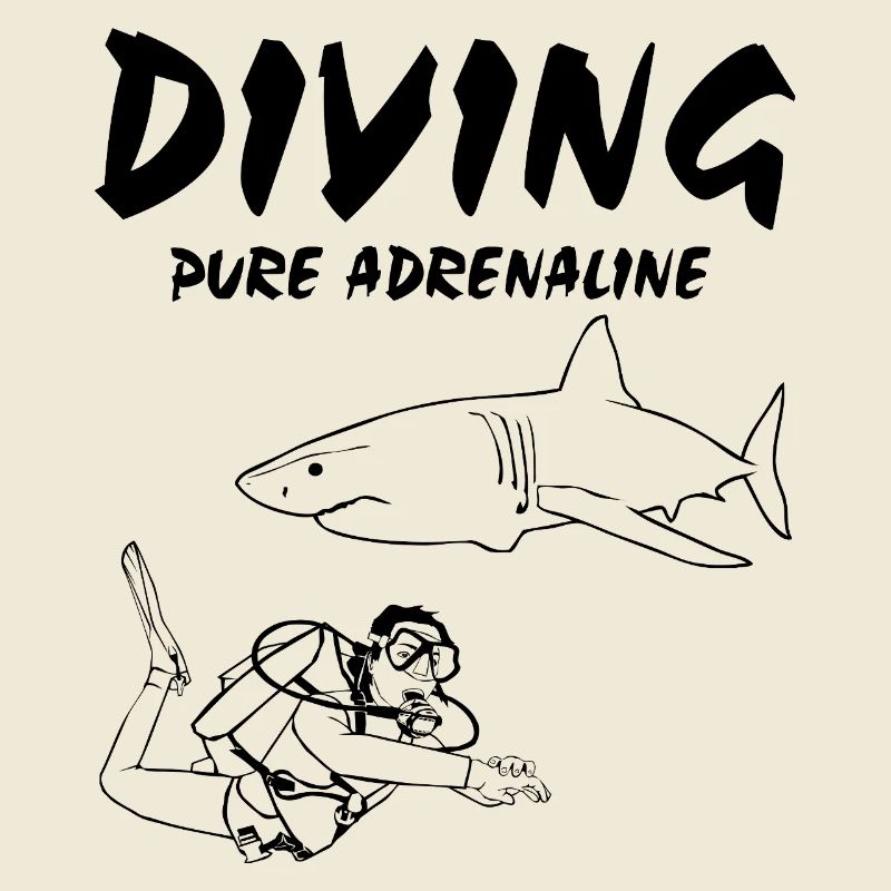 Plongée - Plongée - Plongée - Requin