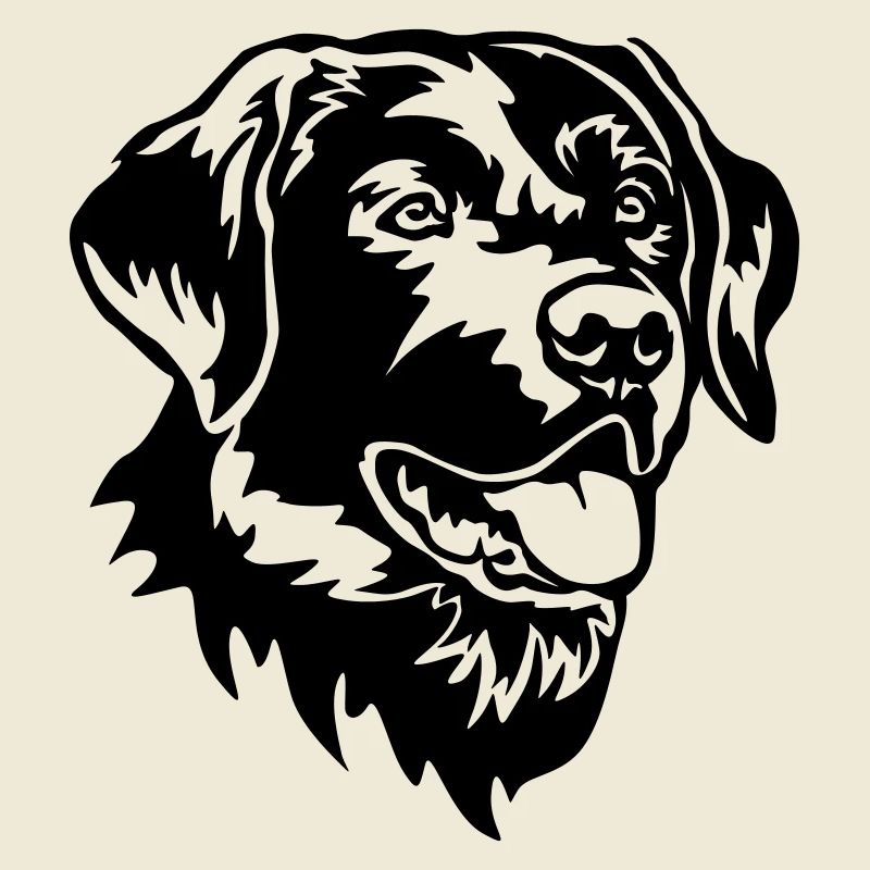 Labrador Head