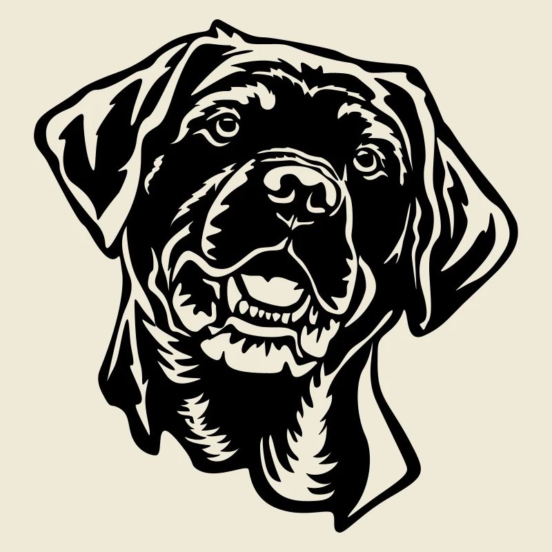 Labrador Head