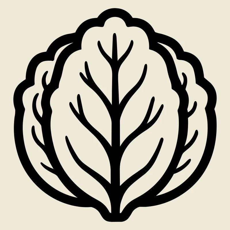 cabbage