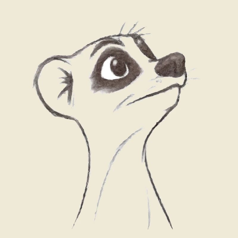 Suricate d’interrogation