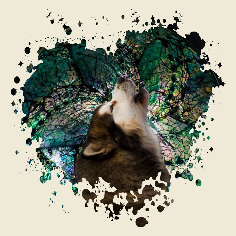 Heulender Malamute