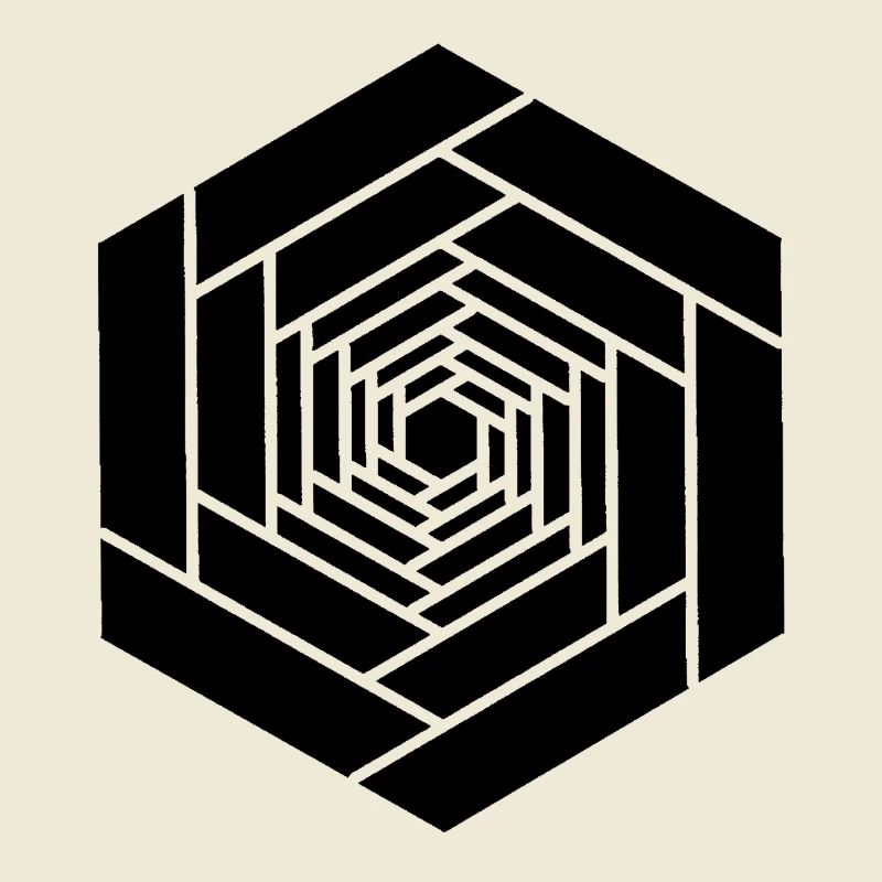 Hexagone infini noir fleur