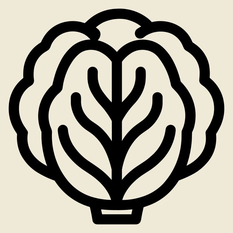 cabbage