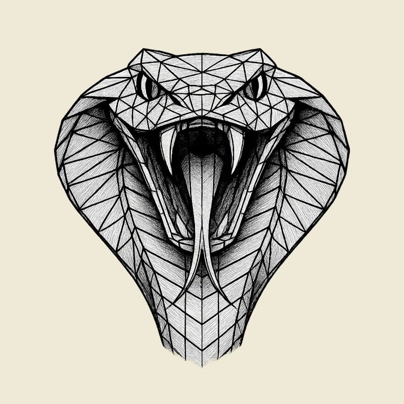 Geometric Cobra Head