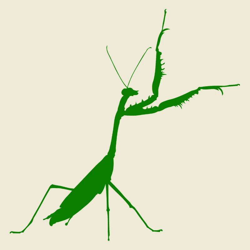 Praying mantis green