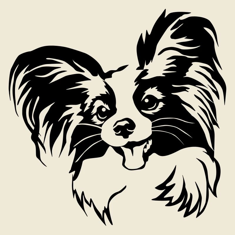 Tête de Papillon