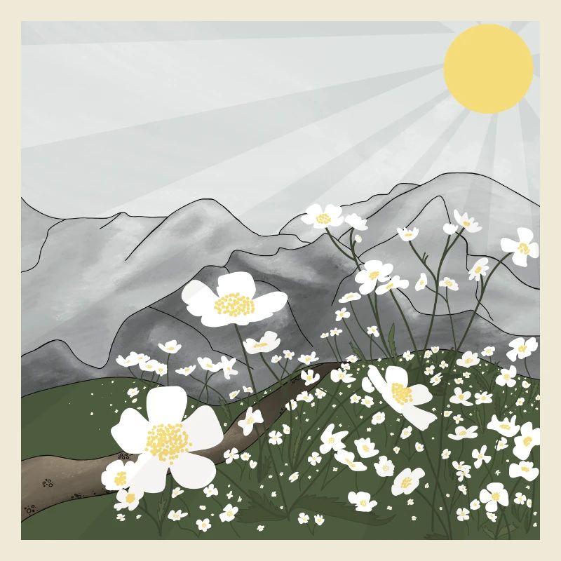 Prairie de fleurs blanches devant le panorama de montagne au printemps