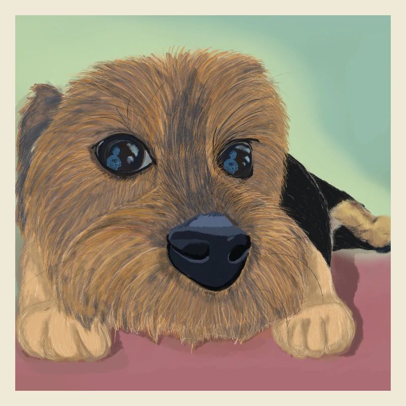 Hundeaugen oder Liebesreflex