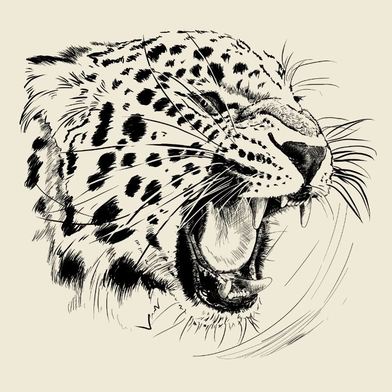 Léopard