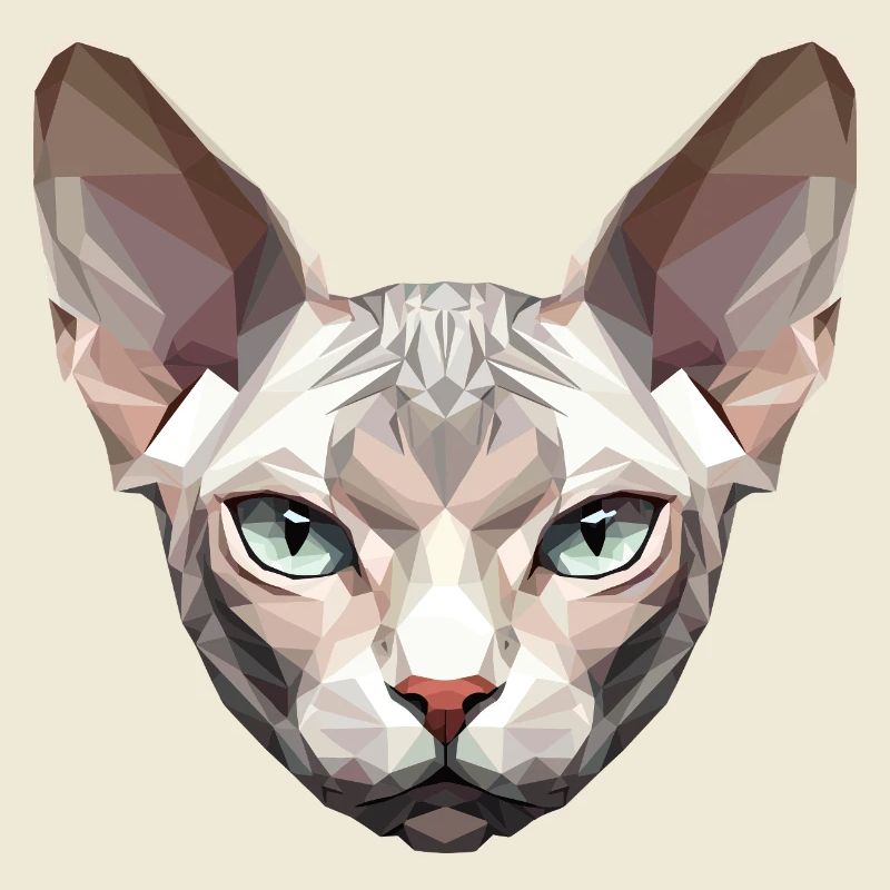 Sphynx Chat Sphynx Chat Chat Canadien Sphinx mignon