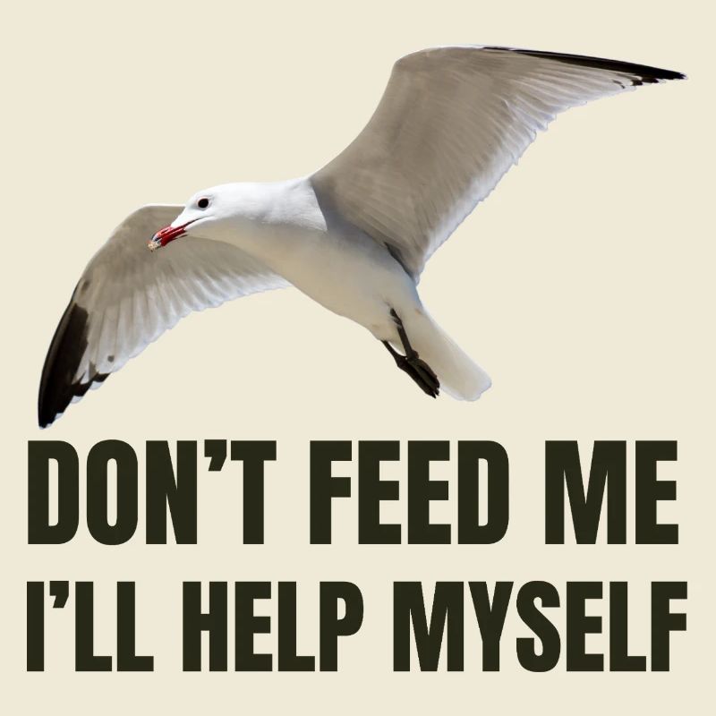 Seagull with Bold Statement