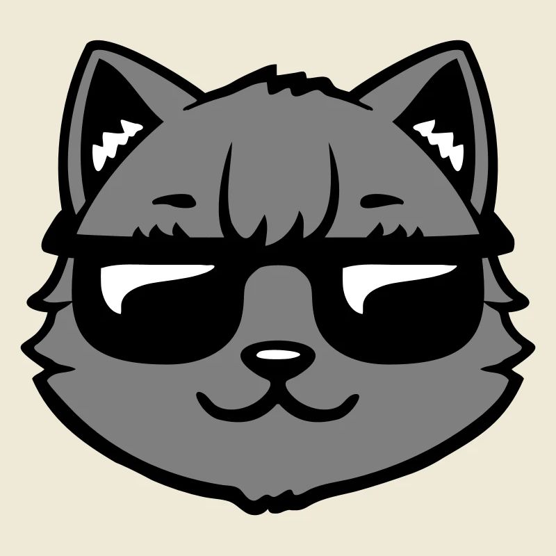 Lunettes de soleil gris chat Look cool style décontracté