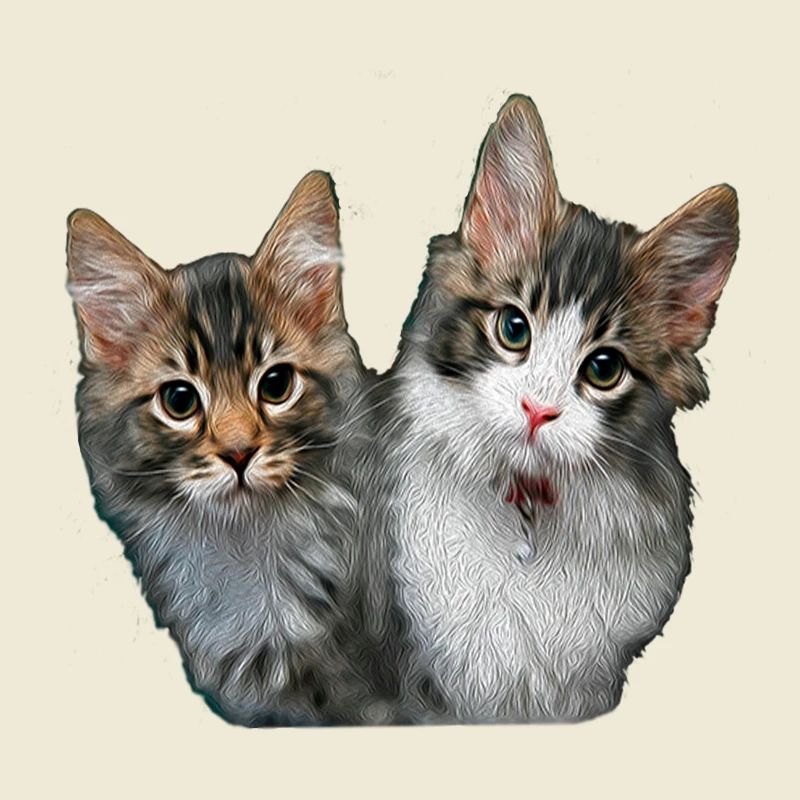 Chatons