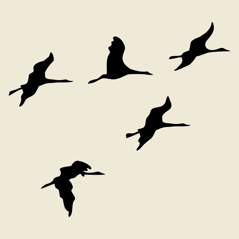 oiseau