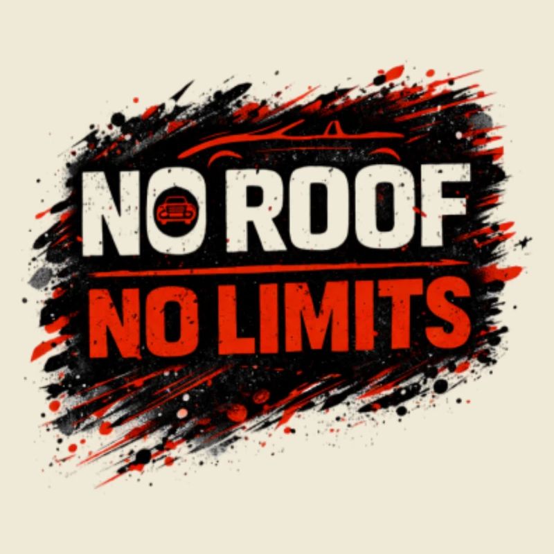 No Rules No Limits Auto Cabrio Spruch 