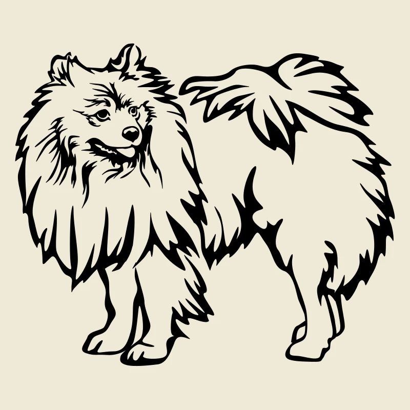 Spitz