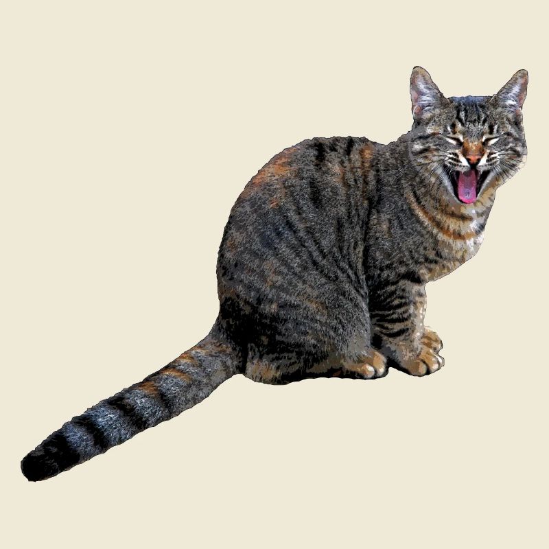 katze