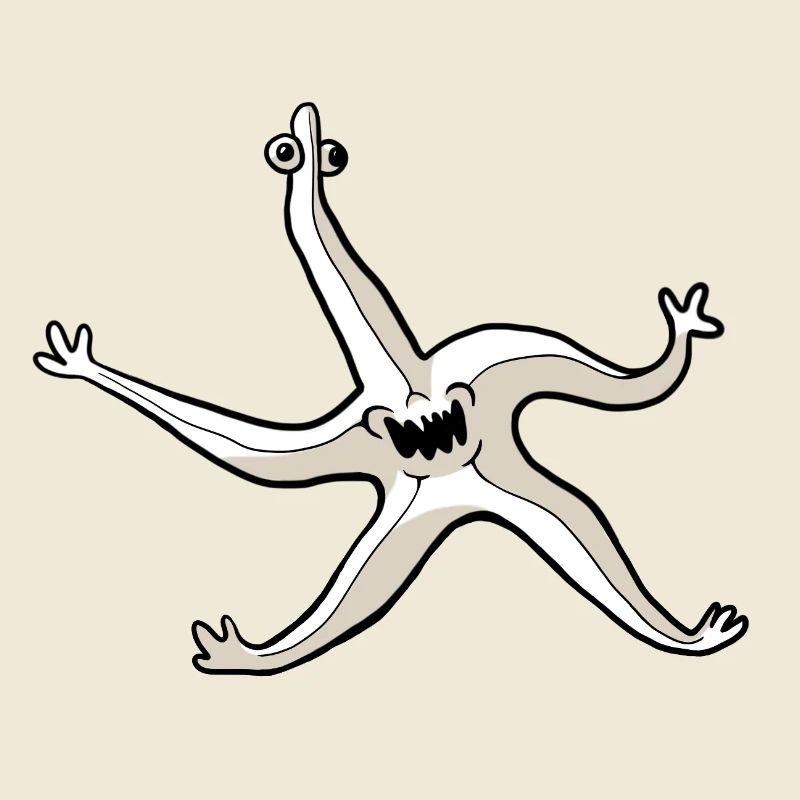 Quirky Starfish