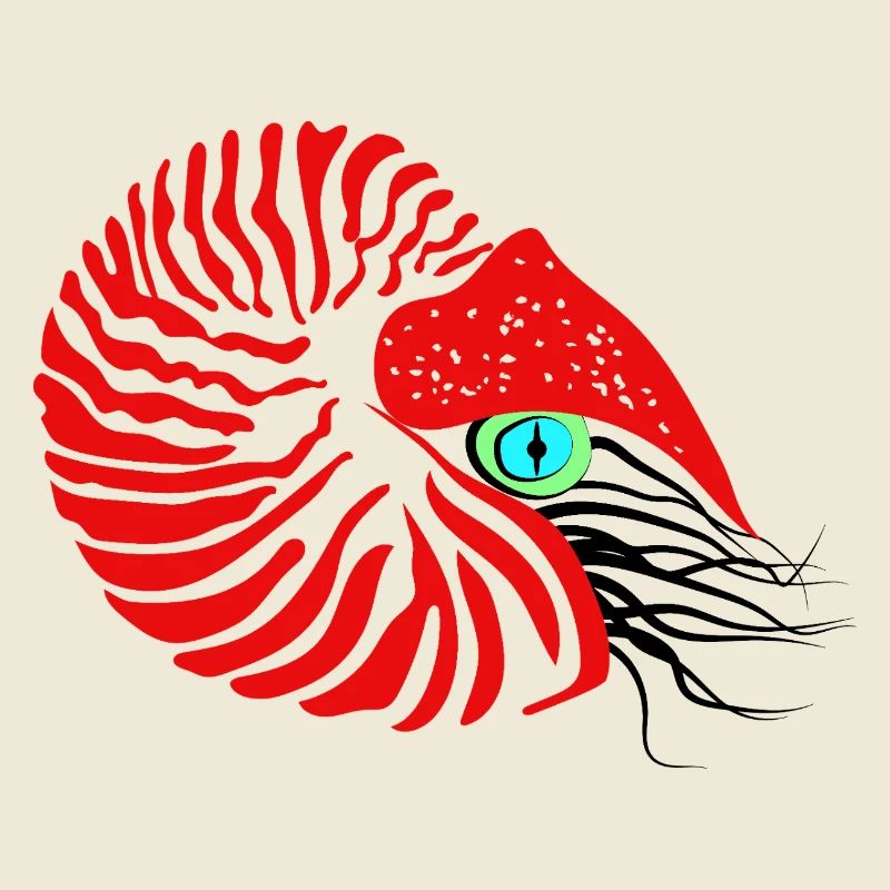 Bateau perlier, ammonite, céphalopode, nautile