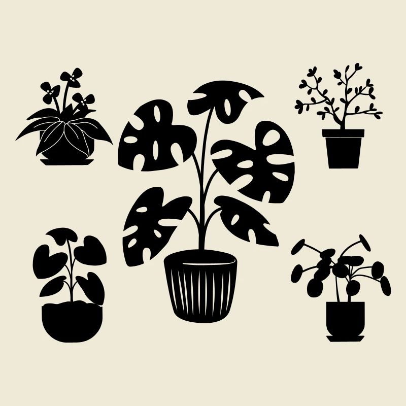 Plantes d’intérieur cinq