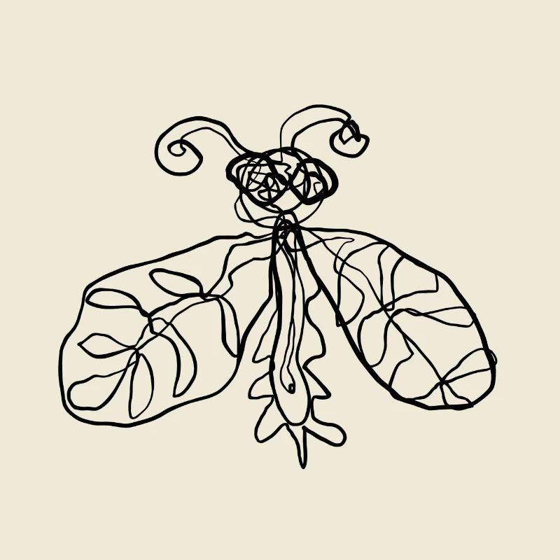 Insecte