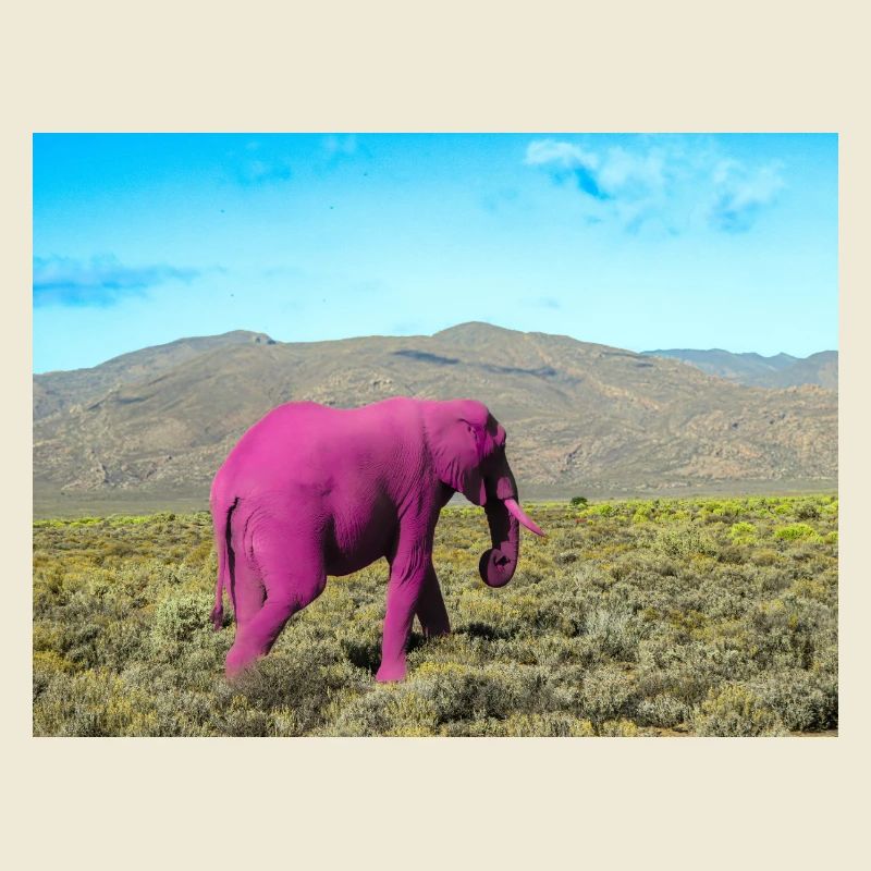 Éléphant rose dans la savane déserte