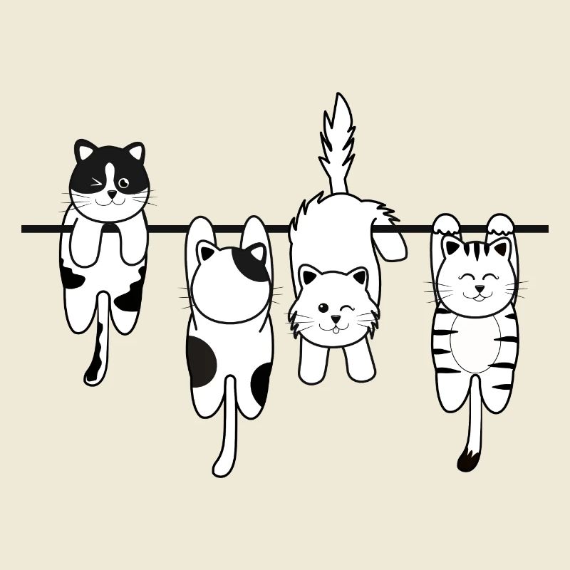 Chat de lessive